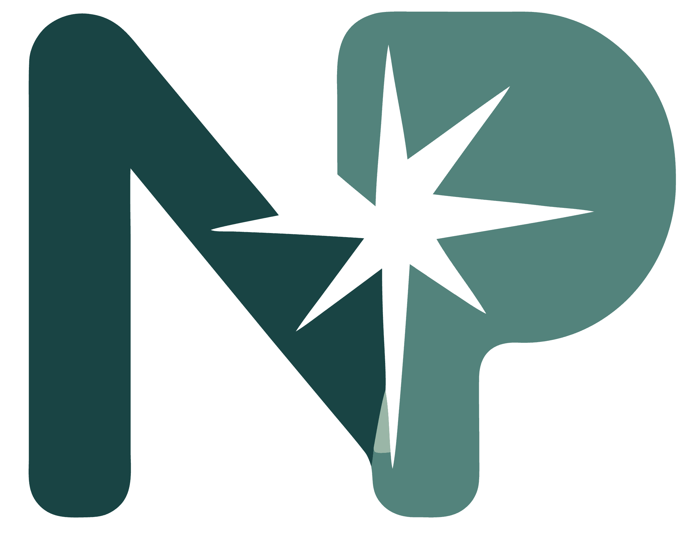 North Point Care logo